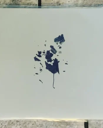 Yuki Tsujii - I'm Rubbish But I Love You