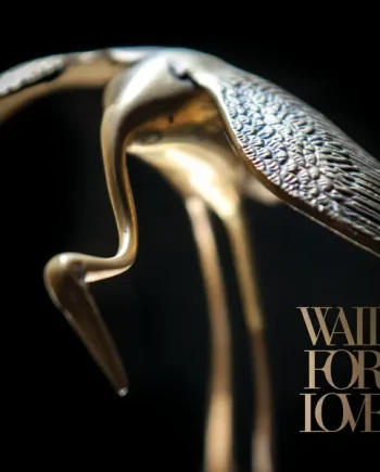 PIANOS BECOME THE TEETH - WAIT FOR LOVE VINYL (LP)