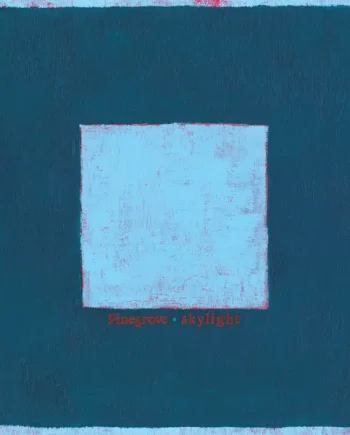 PINEGROVE - SKYLIGHT VINYL (LP)