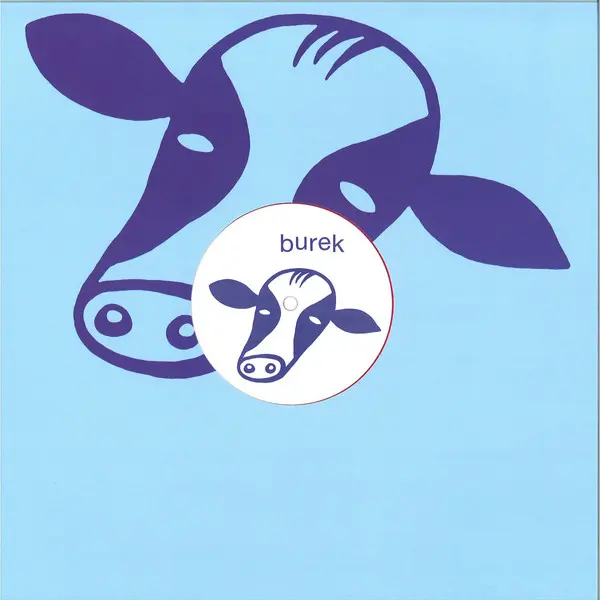 Gene Hunt - Reborn Rhythms EP - All City Records