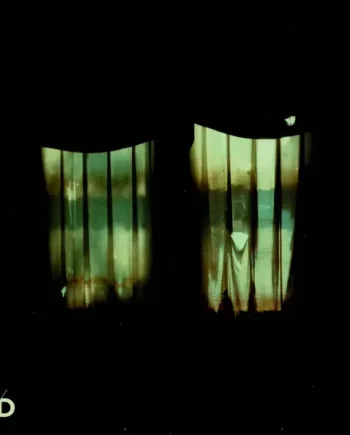 DIVIDE AND DISSOLVE - INSATIABLE VINYL (LTD. ED. DARK GREEN)