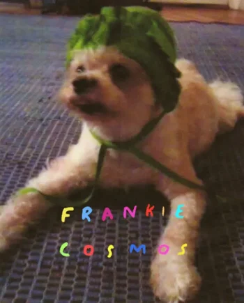 FRANKIE COSMOS - ZENTROPY VINYL RE-ISSUE (LTD. ED. LP)
