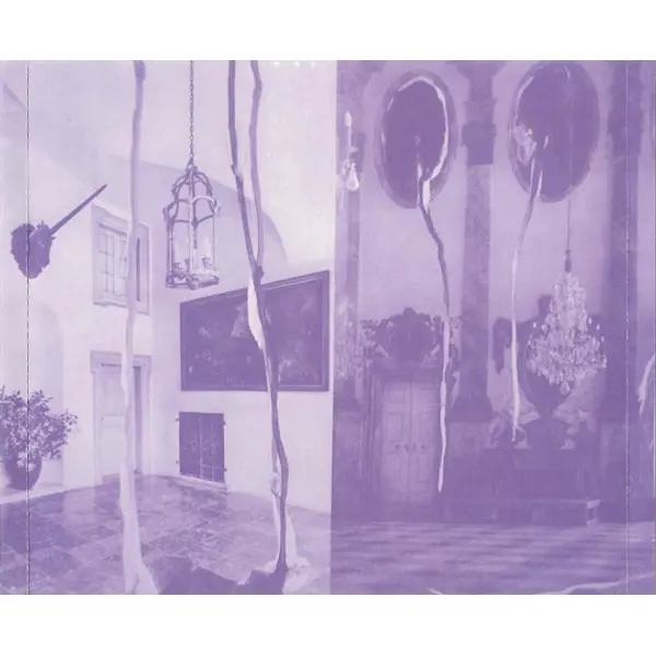 Deerhunter - Microcastle / Weird Era Continued (2xCD, Album) - NM/NM - Classical33.co.uk