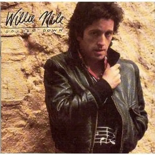 Willie Nile - Golden Down Vinyl LP (LP Record, Album) - NM/VG+ - Classical33.co.uk