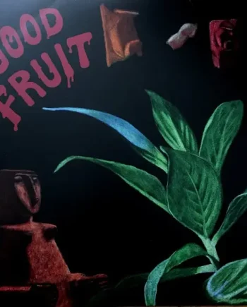 Teen - Good Fruit Vinyl LP (LP Record, Album) - M/M - Classical33.co.uk