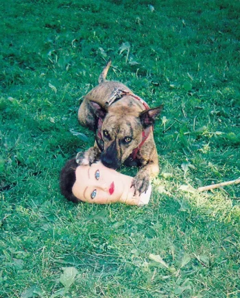 JOYCE MANOR - CODY VINYL