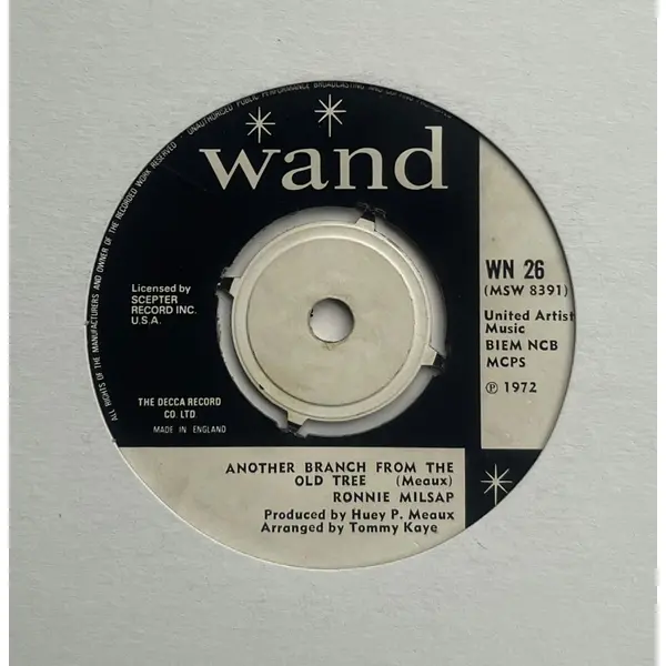 Ronnie Milsap – Ain't No Soul (Left In These Ole Shoes) | VinylSelector.com
