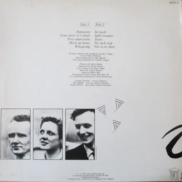 Swallow Tongue - A Stain Upon The Silence Vinyl LP (LP Record, Album) - NM/VG+ - Classical33.co.uk