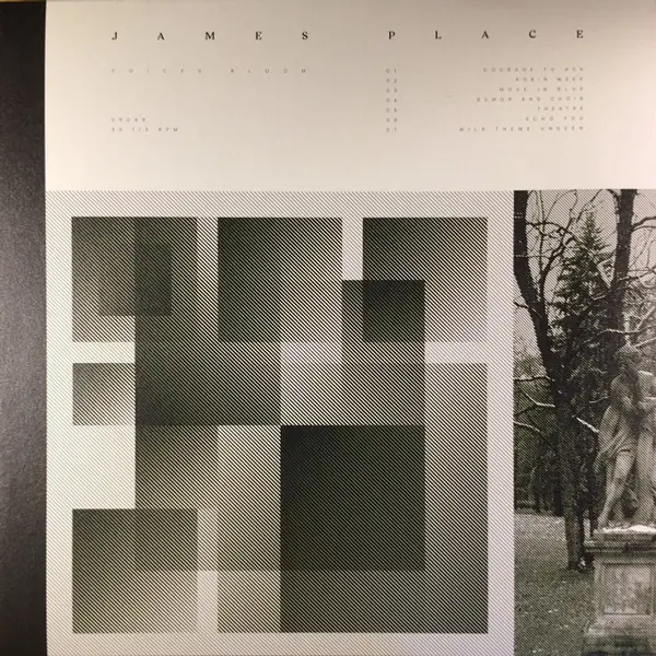 James Place - Voices Bloom - All City Records