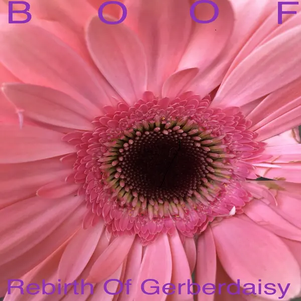 BOOF - REBIRTH OF GERBERDAISY VINYL (2LP)