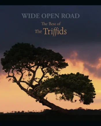 The Triffids - Wide Open Road (The Best Of The Triffids) (CD, Compilation) - VG+/NM - Classical33.co.uk