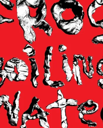 DIIV - FROG IN BOILING WATER VINYL (LTD. ED. VARIANTS)