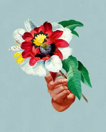 MARIBOU STATE - KINGDOMS IN COLOUR VINYL (LTD. ED. 180G TURQUOISE)