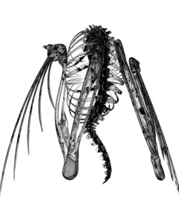 LOTIC - HETEROCETERA VINYL EP
