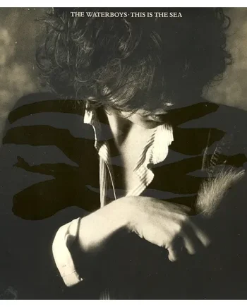 Waterboys, The - This Is The Sea - All City Records