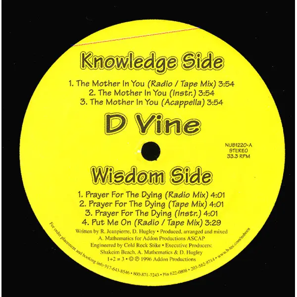 D Vine - The Mother In You - All City Records