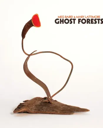 MEG BAIRD & MARY LATTIMORE - GHOST FORESTS VINYL (LTD. ED. COKE BOTTLE CLEAR GATEFOLD)