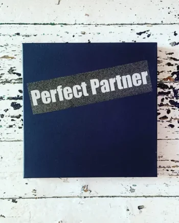 Kim Gordon, Ikue Mori, Tim Barnes, DJ Olive, Jim O'Rourke ‎– Perfect Partner
