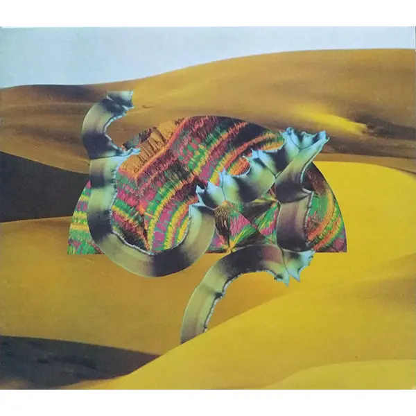 Django Django - Django Django (CD, Album) - NM/NM - Classical33.co.uk