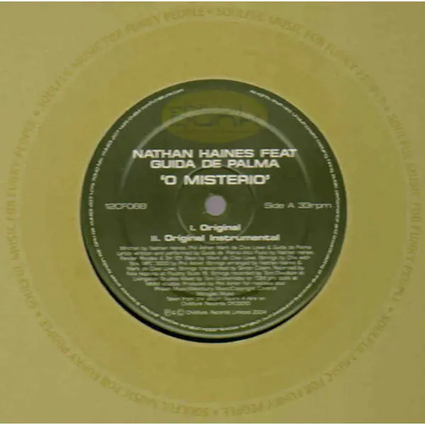 Nathan Haines Feat Guida De Palma - O Misterio - All City Records