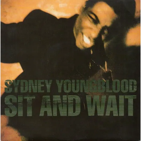 Sydney Youngblood - Sit And Wait 7 Inch Vinyl Single (7 Inch Record) - VG/VG+ - Classical33.co.uk