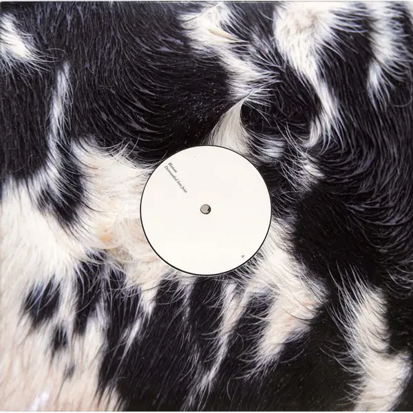 Blawan - Dismantled Into Juice - All City Records