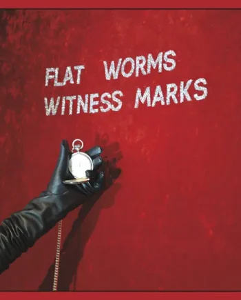 FLAT WORMS - WITNESS MARKS VINYL (LP)