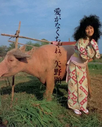Akiko Yano - Ai Ga Nakucha Ne