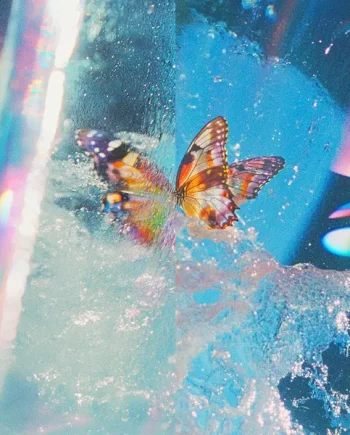 DAPHNI - BUTTERFLY VINYL (LTD. ED. 2LP GATEFOLD VARIANTS)