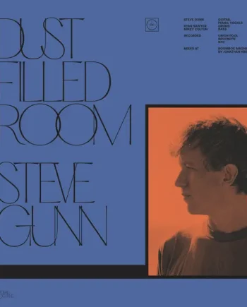 BILL FAY & STEVE GUNN - DUST FILLED ROOM VINYL (LTD. ED. 7")