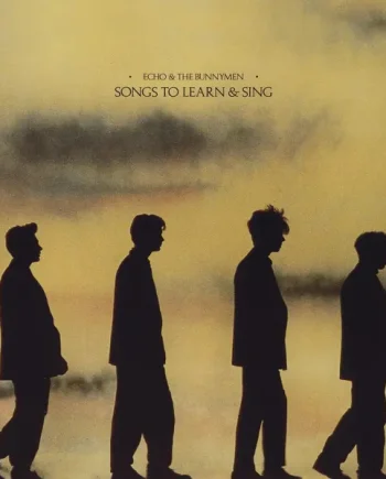 ECHO & THE BUNNYMEN - SONGS TO LEARN & SING VINYL RE-ISSUE (LTD. ED. YELLOW & BLACK MARBLE)