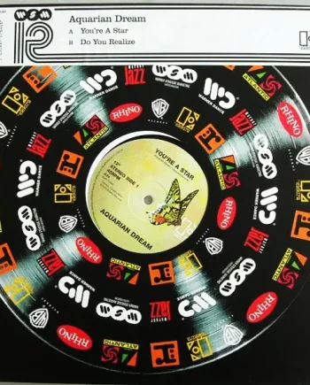 Aquarian Dream (2) - You're A Star / Do You Realize - All City Records