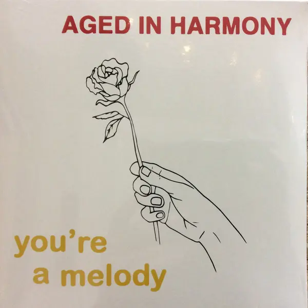 Aged In Harmony - You're A Melody - All City Records