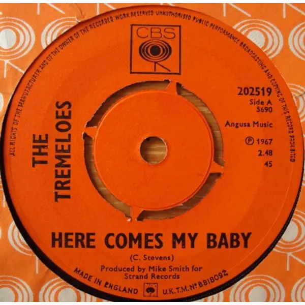 The Tremeloes - Here Comes My Baby 7 Inch Vinyl Single (7 Inch Vinyl Record) - VG+/VG+ - Classical33.co.uk