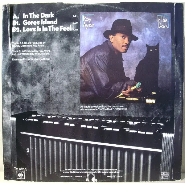 Roy Ayers - In The Dark 12 Inch Vinyl Single (12 Inch Record) - NM/VG+ - Classical33.co.uk