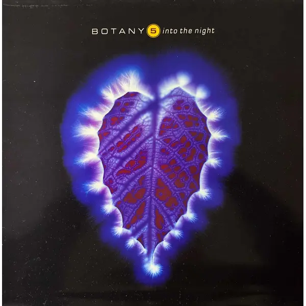Botany 5 Into The Night Vintage Vinyl Record Cover For Sale - Classical33.co.uk