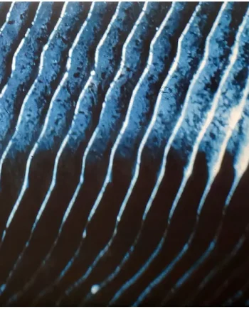 Monolake - Gravity - All City Records