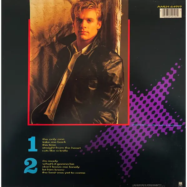 Bryan Adams Cuts Like A Knife Vintage Vinyl Record Cover For Sale