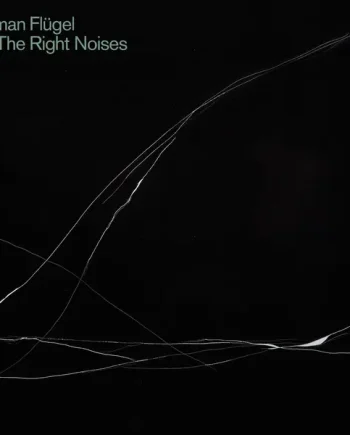 ROMAN FLUGEL - ALL THE RIGHT NOISES VINYL (2LP)