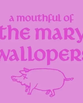 THE MARY WALLOPERS - A MOUTHFUL OF MARY WALLOPERS VINYL (SUPER LTD. 'RSD' 10")