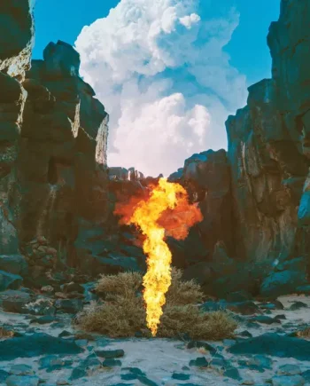 BONOBO - MIGRATION VINYL (LTD. DELUXE EDITION 2LP W/ ARTCARD & ZINE)