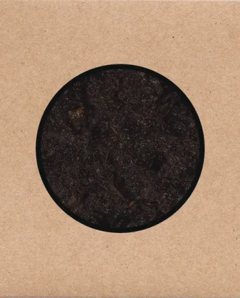 SWANS - BIRTHING VINYL (LTD. ED. 3LP TRIFOLD + DVD)