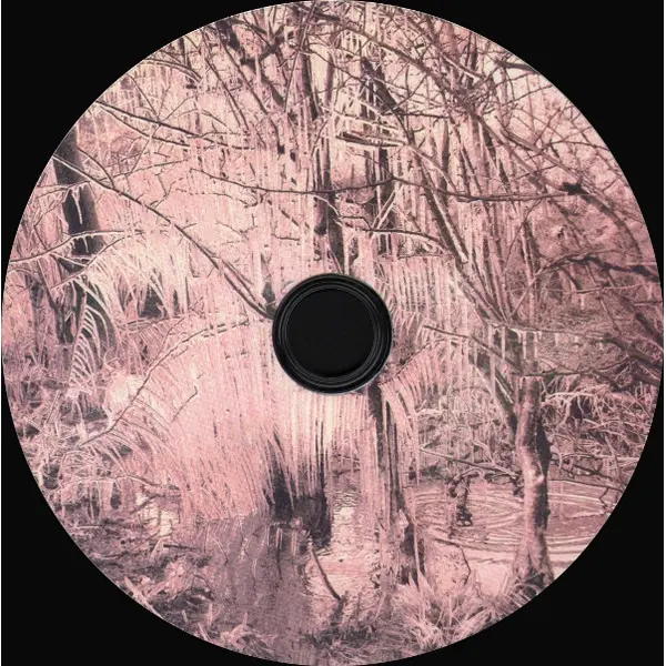 Esben And The Witch - Violet Cries (CD, Album) - NM/NM - Classical33.co.uk