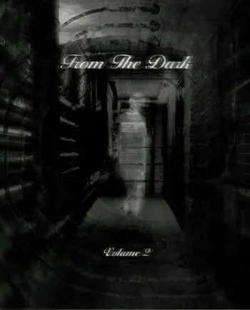 Various - From The Dark Volume 2 - All City Records
