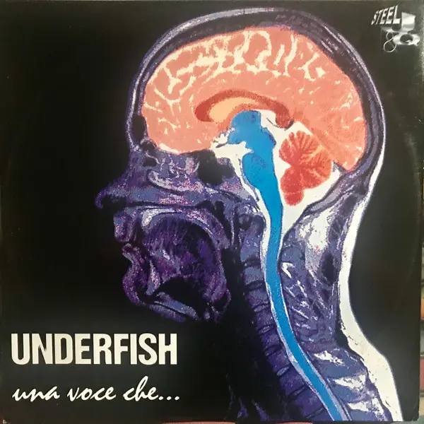 Underfish - Una Voce Che... - All City Records