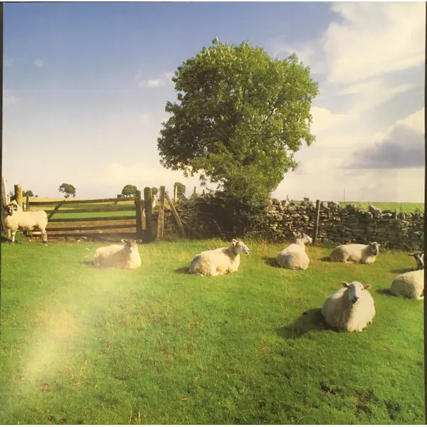 KLF, The - Chill Out - All City Records