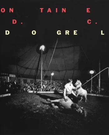 FONTAINES D.C. - DOGREL VINYL (LP)