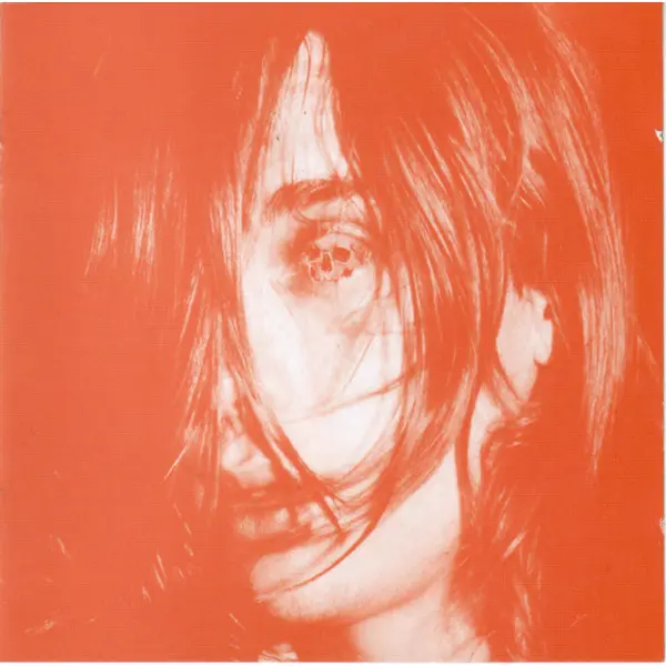 Deerhunter - Microcastle / Weird Era Continued (2xCD, Album) - NM/NM - Classical33.co.uk