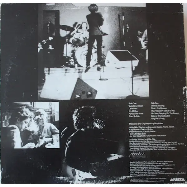 Willie Nile - Willie Nile Vinyl LP (LP Record, Album) - NM/VG+ - Classical33.co.uk