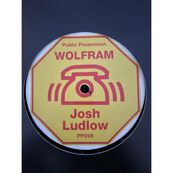 Wolfram (12), Josh Ludlow (4) - Yo Yo Disco - All City Records